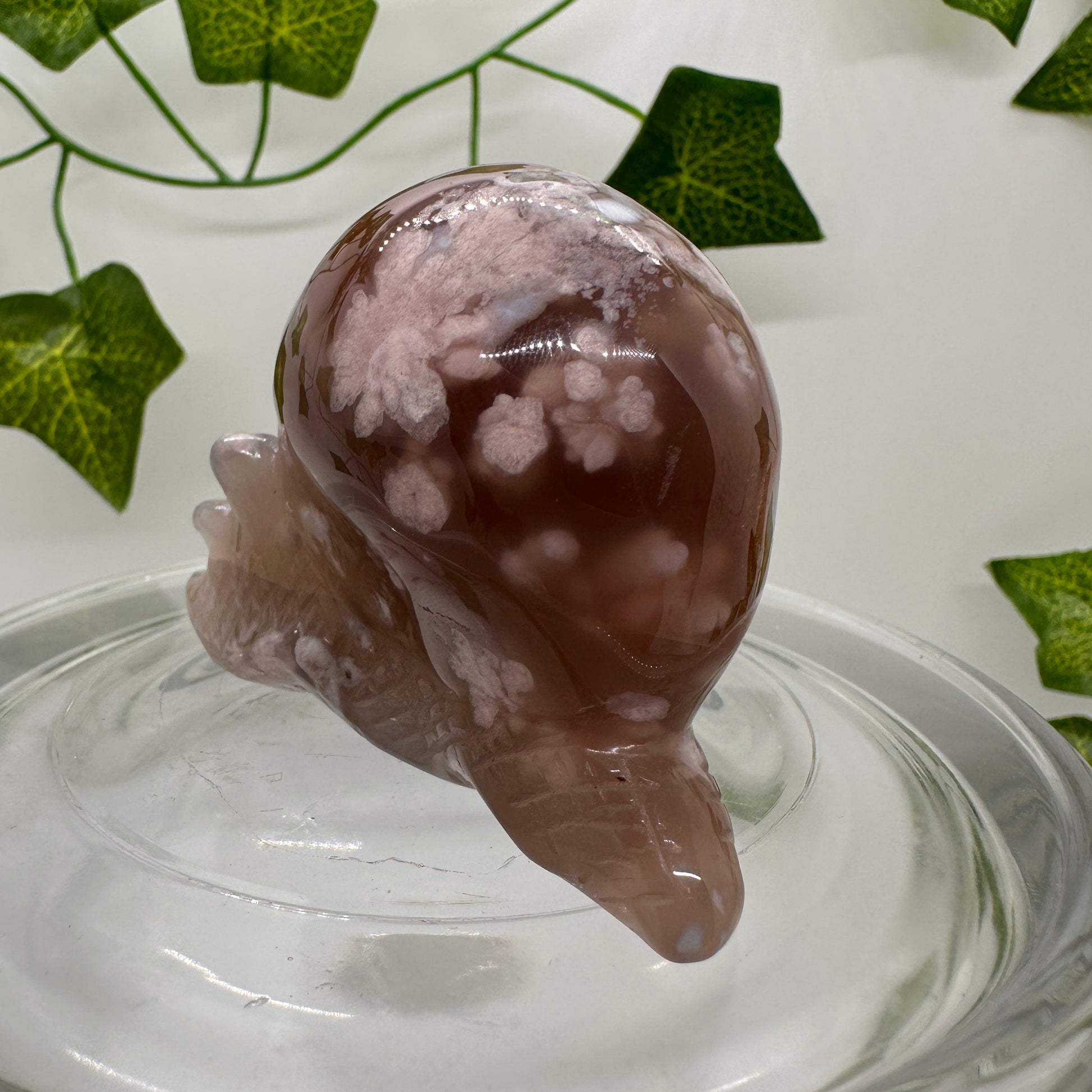 Flower Agate Snail (A) - Katie's Mystic Crystals