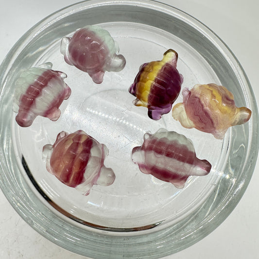 Mini Fluorite Turtles - 1.2 inch