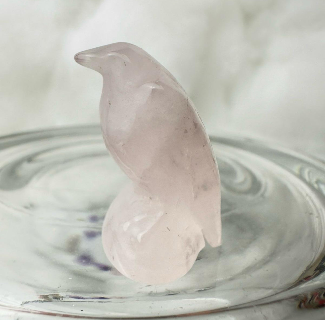 Crystal Baby Ravens - Katie's Mystic Crystals