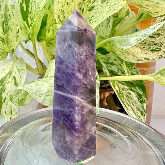 Set of 2 Amethyst Points — 3.1 & 3.9 inch
Spiritual Calm | Protection | Higher Awareness