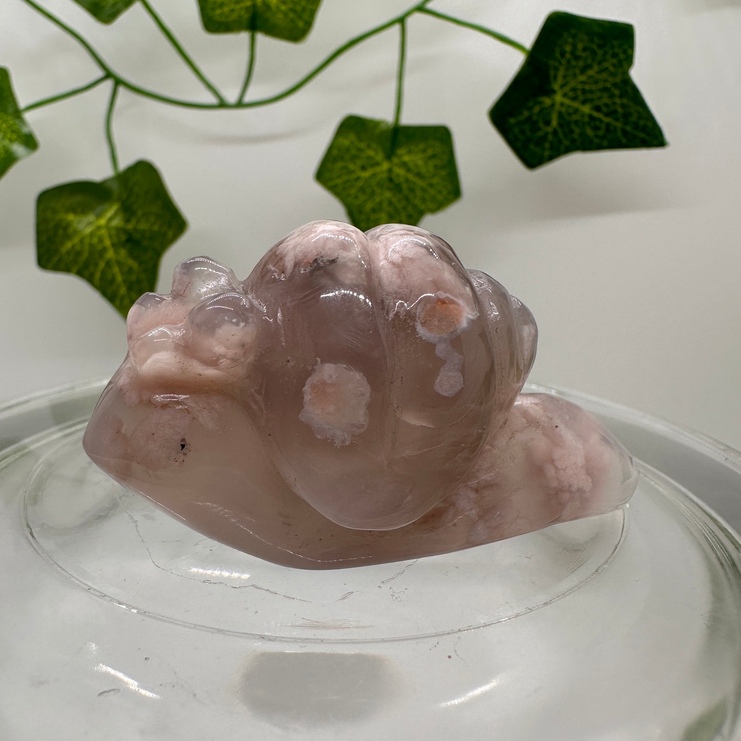 Flower Agate Snail (B) - Katie's Mystic Crystals