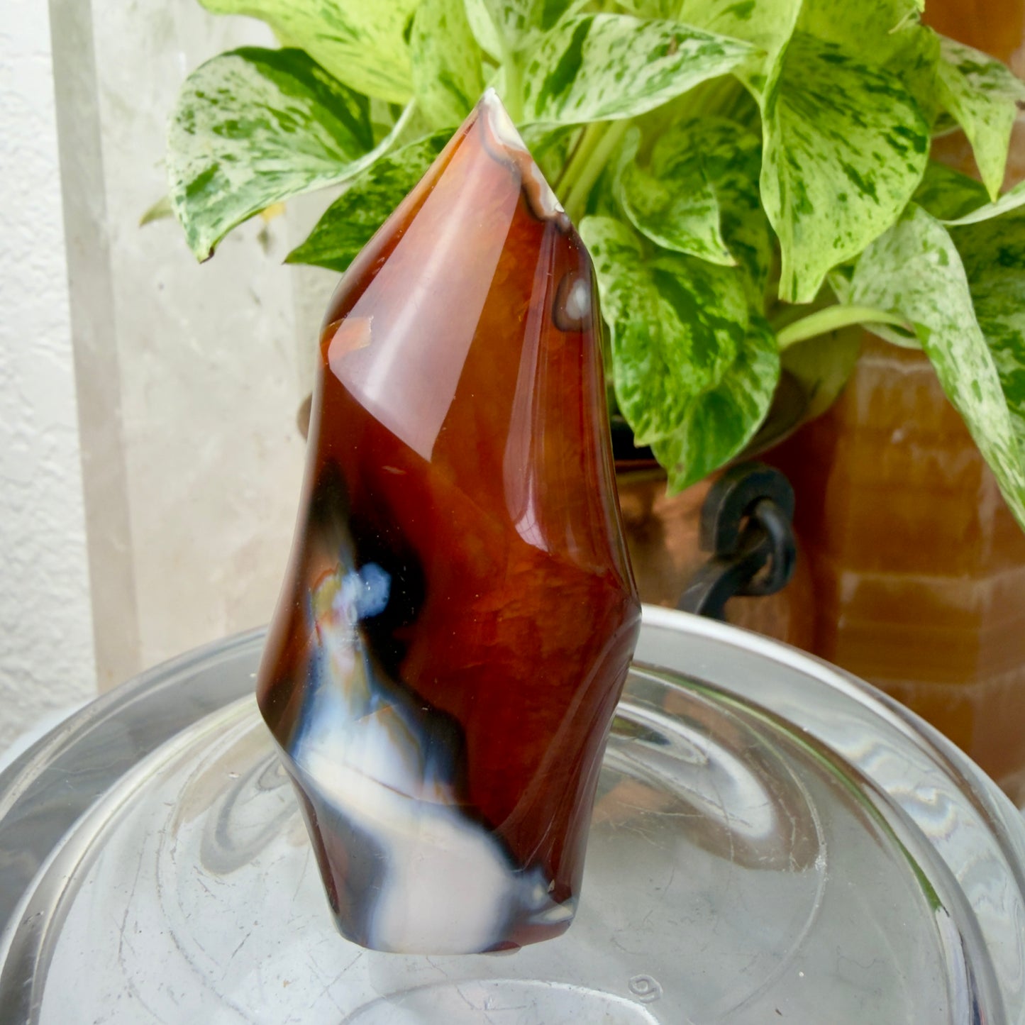 Carnelian Orca Agate Flames – Fiery Energy & Oceanic Calm (2.9” & 3”)