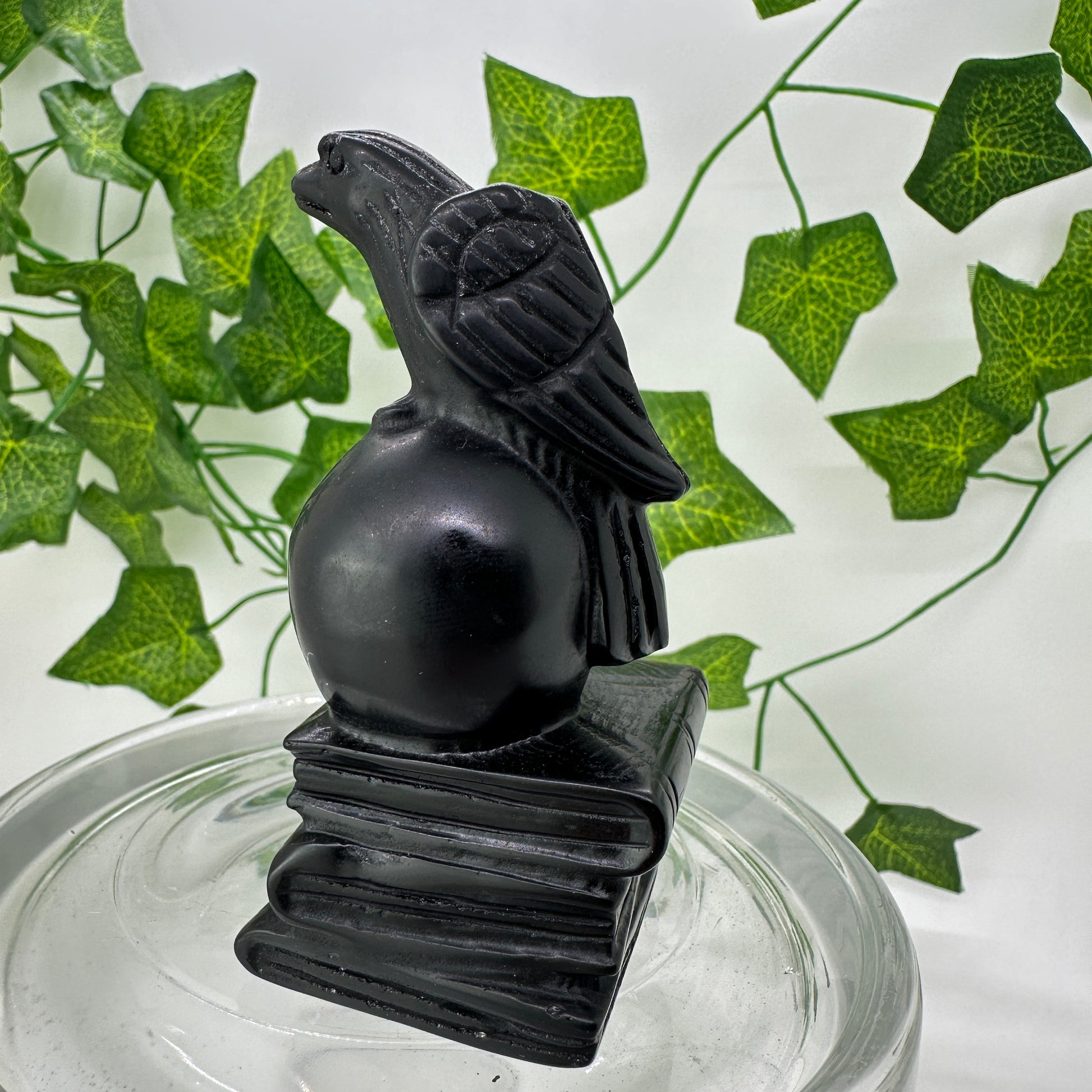 Raven Skull Book Carving - Katie's Mystic Crystals