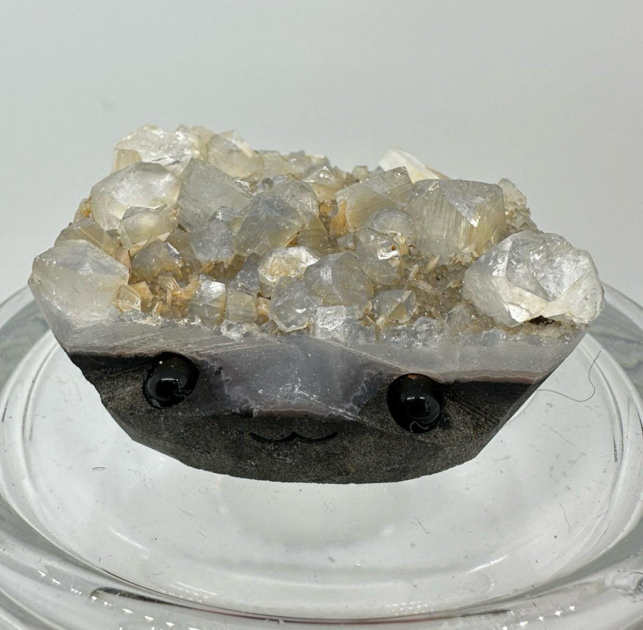 Crystal Critters - Specimen