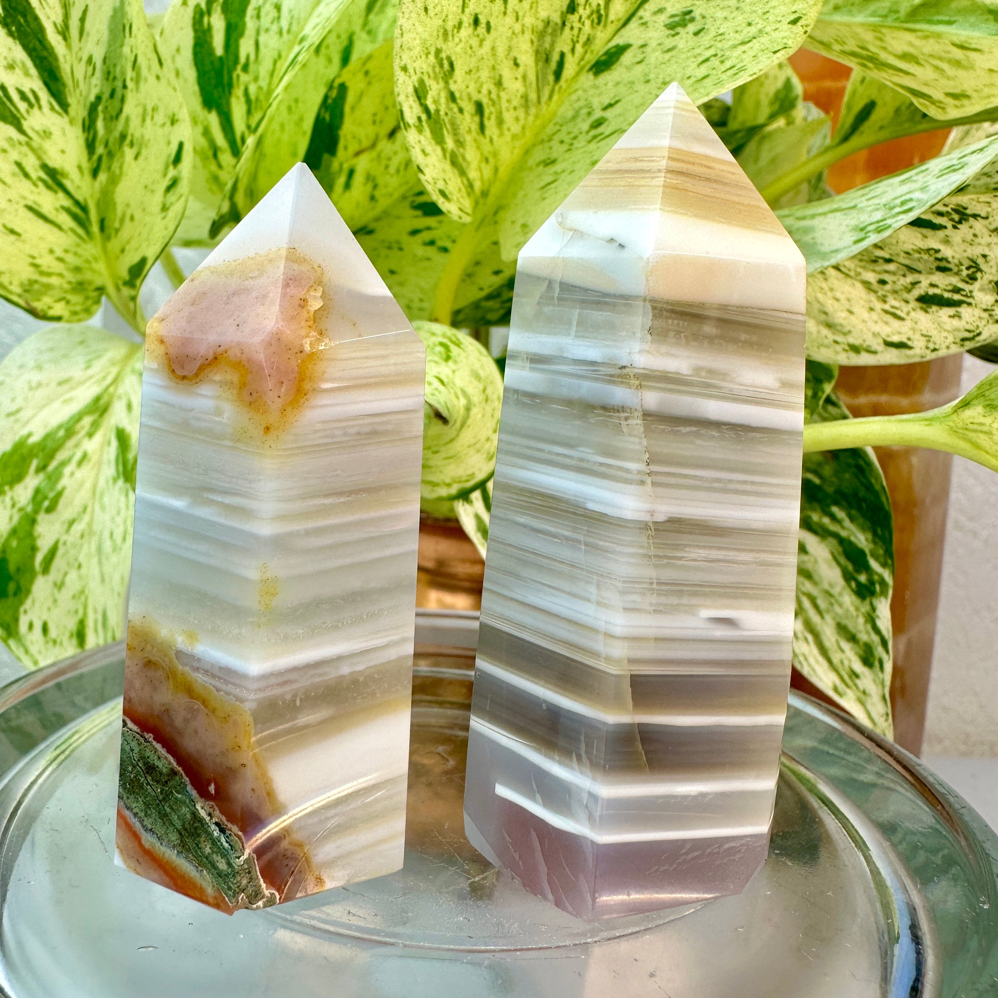 Botswana Agate Points — 2.5 to 2.8 inch
Emotional Support | Stability | Soothing Energy
✨ Intuitively Chosen for You ✨ - Katie's Mystic Crystals