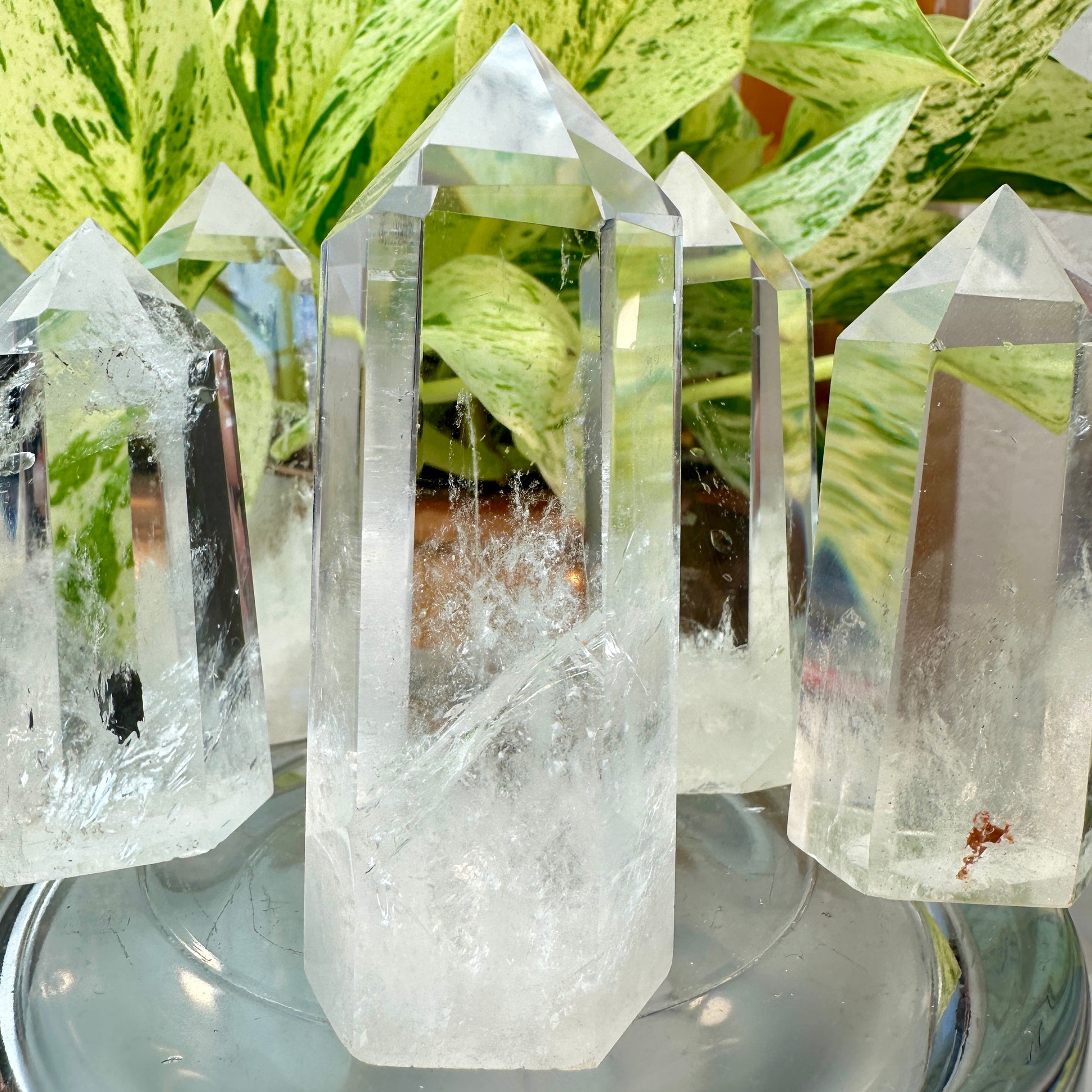 Clear Quartz Points — 2.6 to 3 inch (High Quality)
Amplification | Clarity | Master Healer - Katie's Mystic Crystals