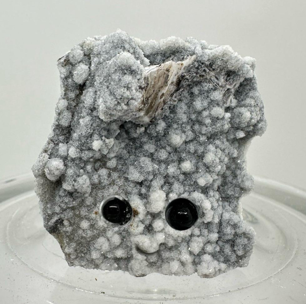 Crystal Critters - Specimen