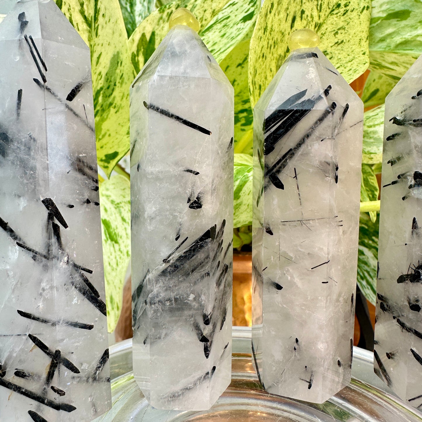 Black Tourmaline in Quartz Points — 3 inch
Protection | Clarity | Energy Alignment - Katie's Mystic Crystals