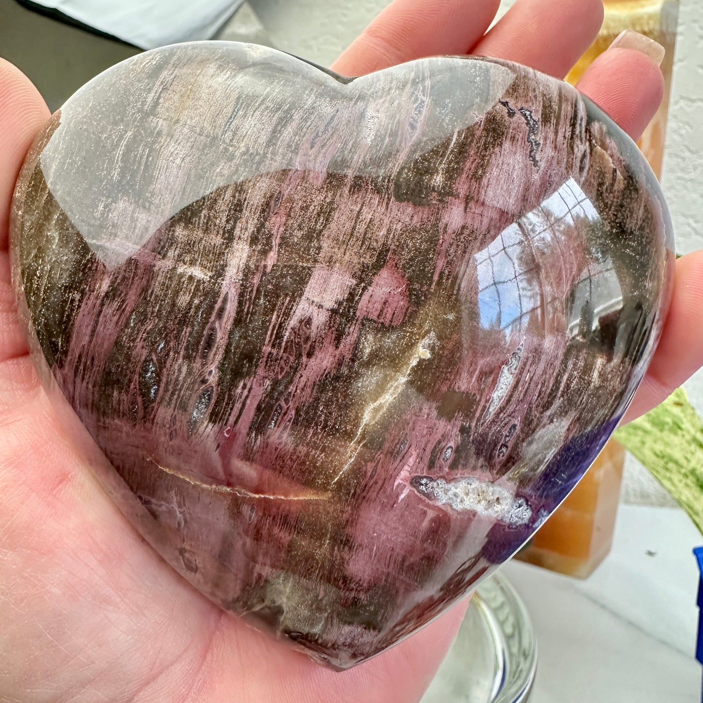 Petrified Wood Heart 1lb 2.7oz