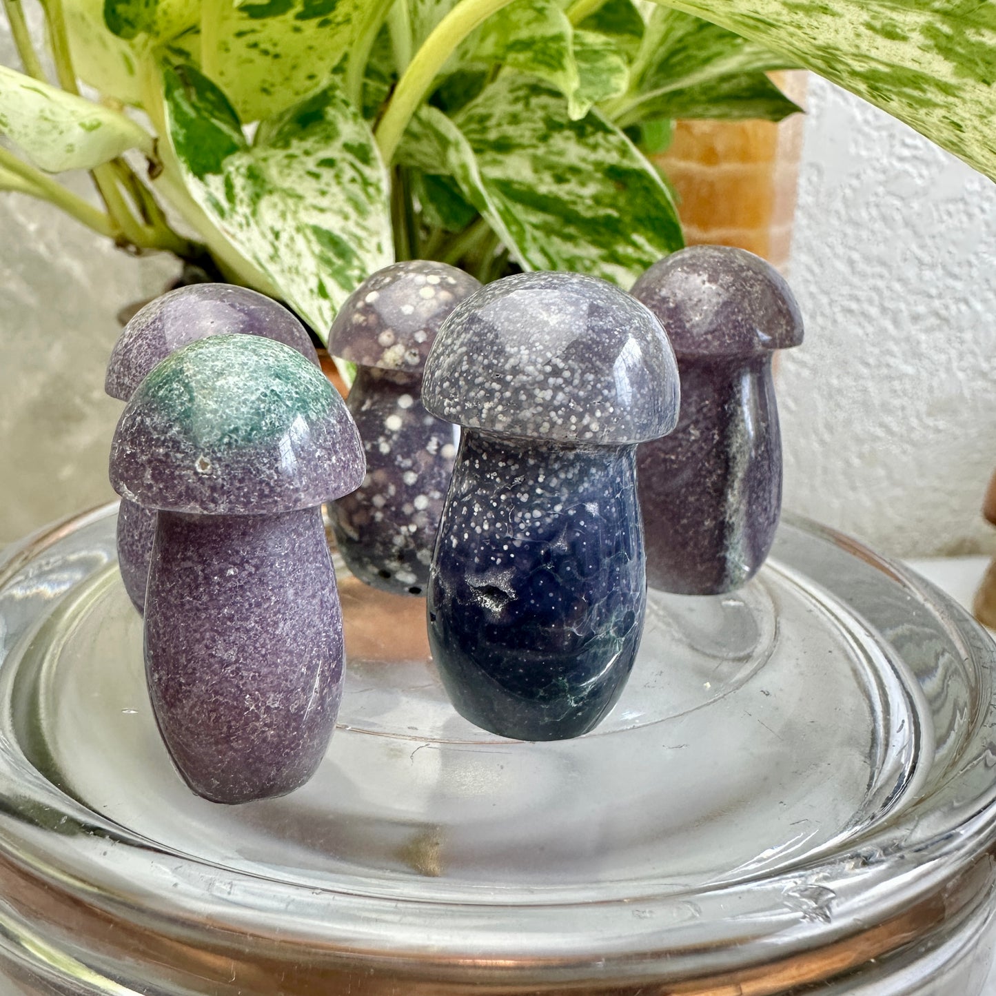 Grape Agate Mushrooms
