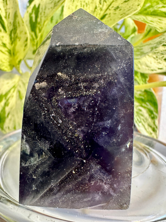 Pyrite in Fluorite Raw Edge Tower — E
2.5 in tall × 1.4 in wide × 0.9 in thick | 4.8 oz
Mental Clarity | Abundance | Grounded Confidence - Katie's Mystic Crystals