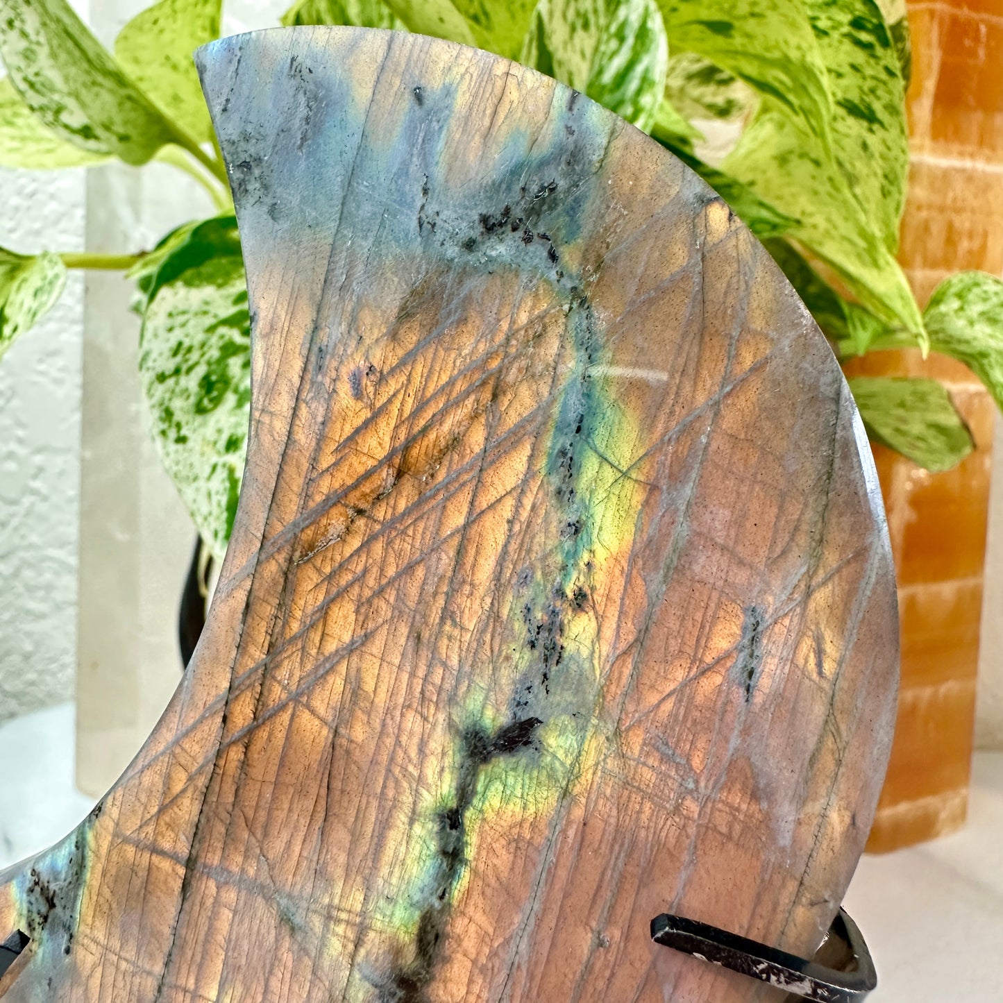 Sunset Flash Labradorite Crescent Moon on Custom Stand
🌙 Mystical Protection • Solar Energy • Cosmic Insight
