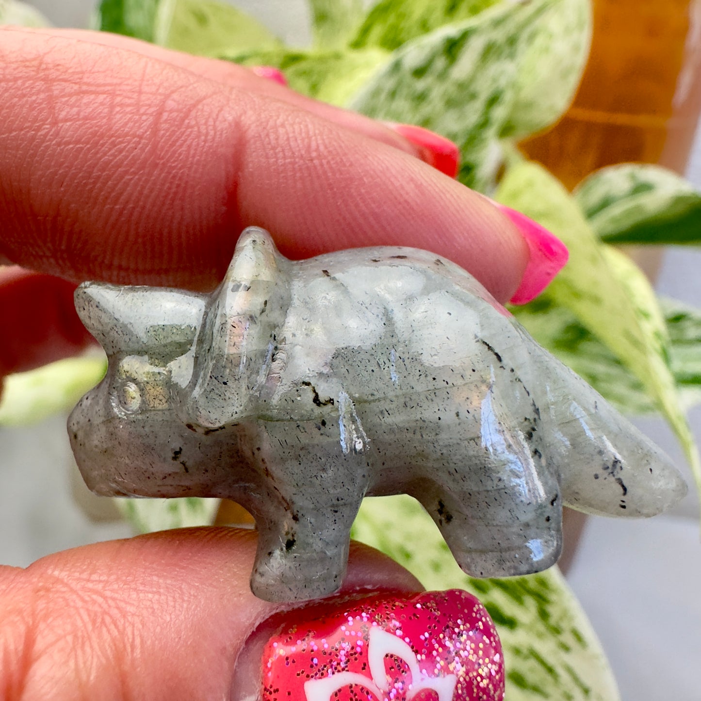 Mini Labradorite Triceratops