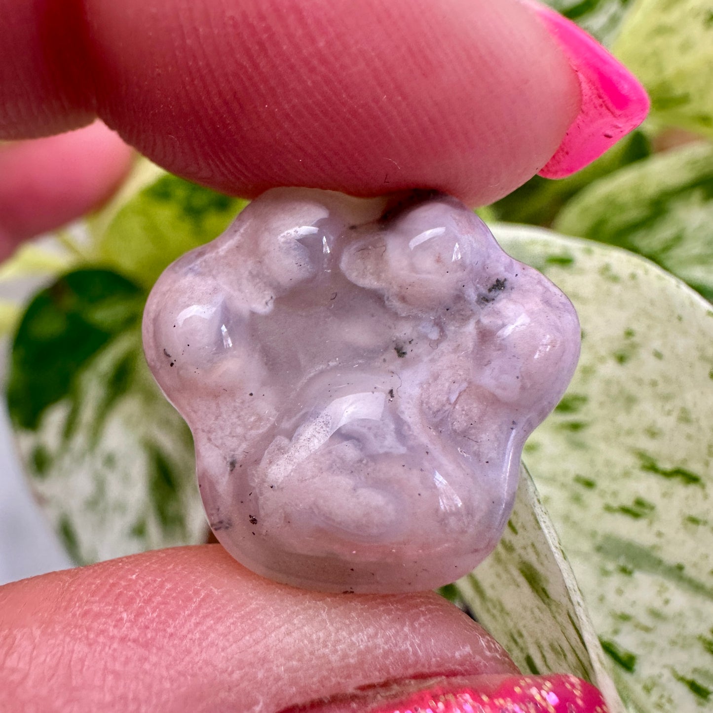 Mini Flower Agate Pet Paw