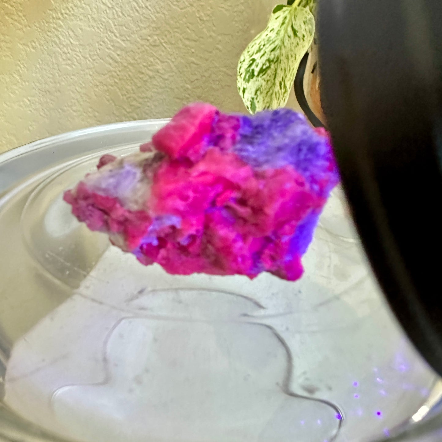 Ruby & Blue Kyanite Raw Specimen – Inner Strength + Intuition + Chakra Alignment (34g)
