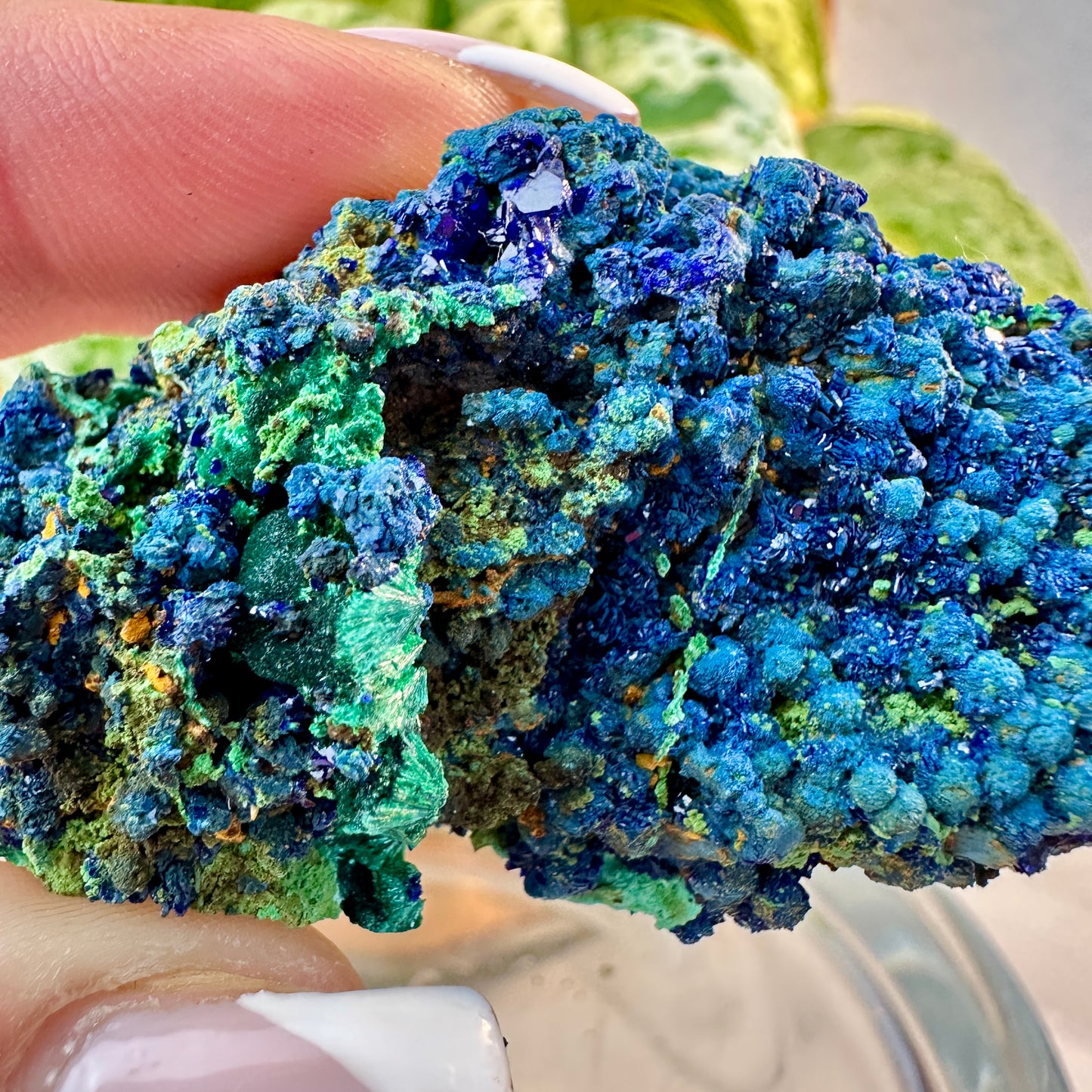 Azurite & Malachite Specimen — 36 grams | Morocco
Third Eye Activation | Transformation | Heart Healing