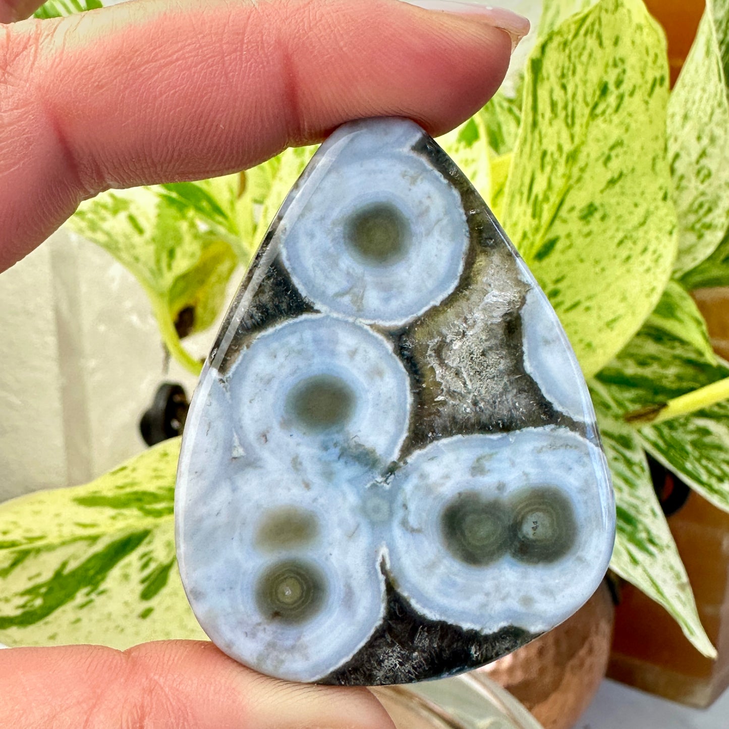 Ocean Jasper Cabs