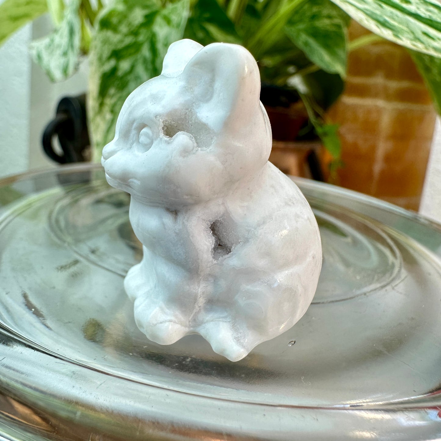 Mini Crystal Cats — 0.25 to 2 inches Whimsy | Protection | Energy Companions