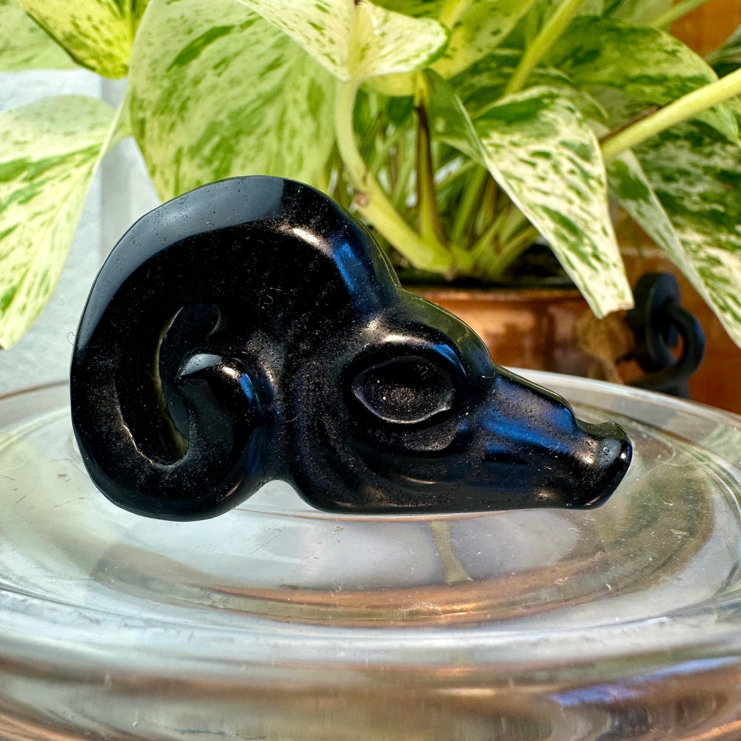 Crystal Ram Skulls — 2 inch
Zodiac Aligned | Power | Protection | Purpose