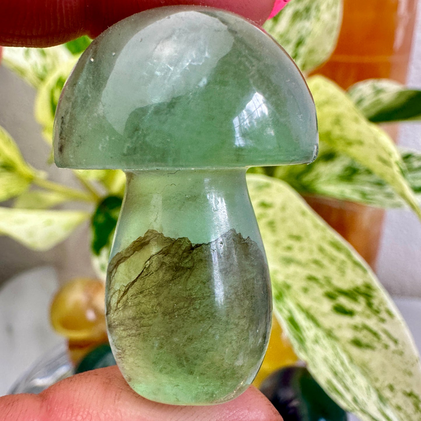 Fluorite Mushrooms