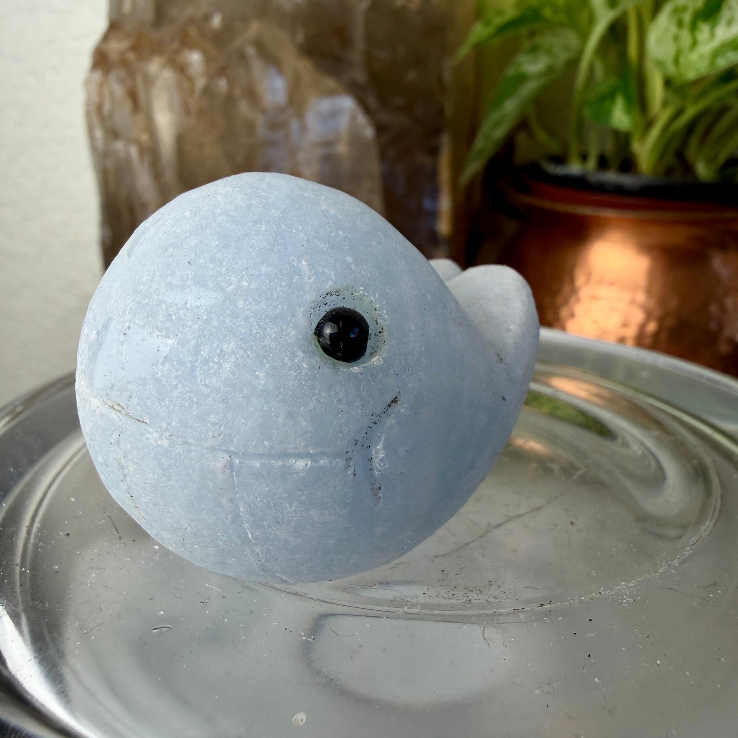 Katie’s Crystal Critters