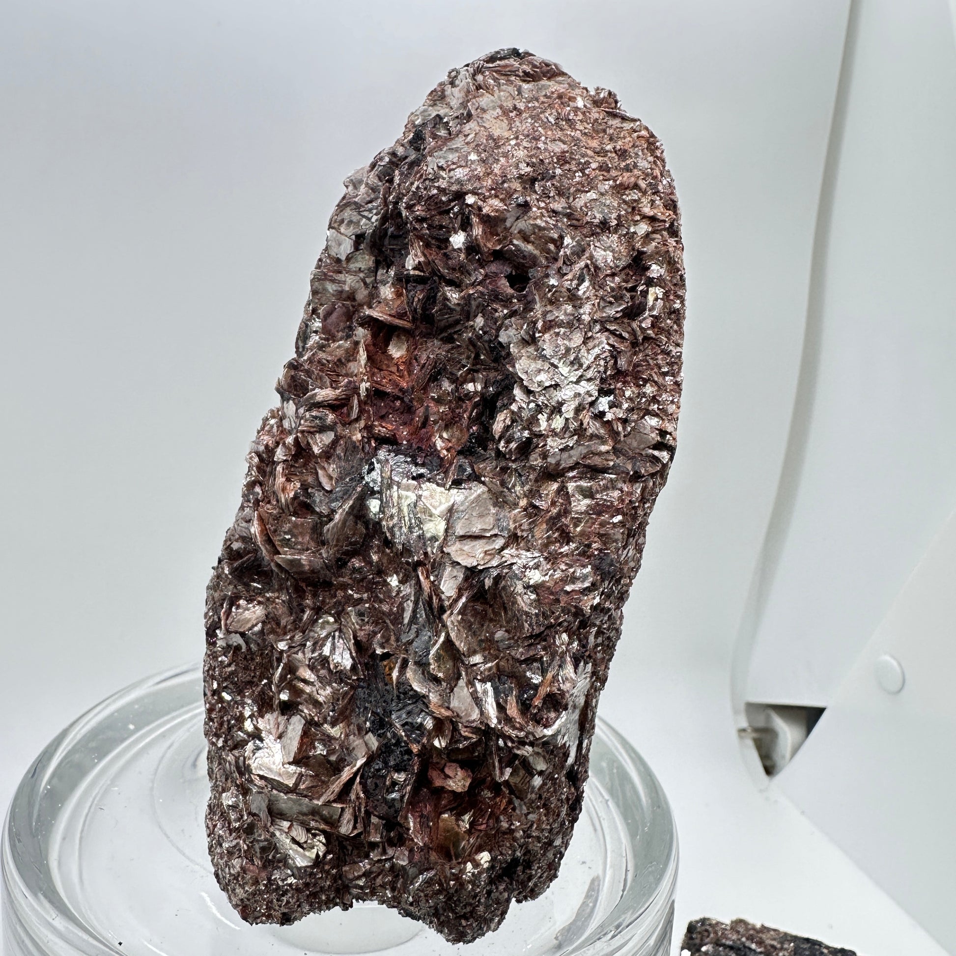 Black Tourmaline and Golden Mica Specimen - Katie's Mystic Crystals