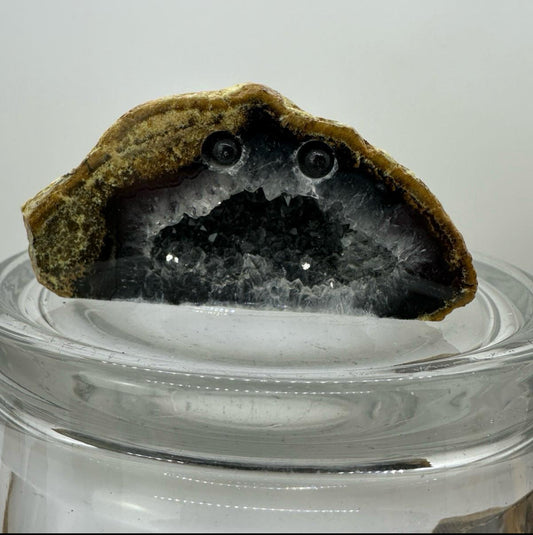 Crystal Critters- Geodes