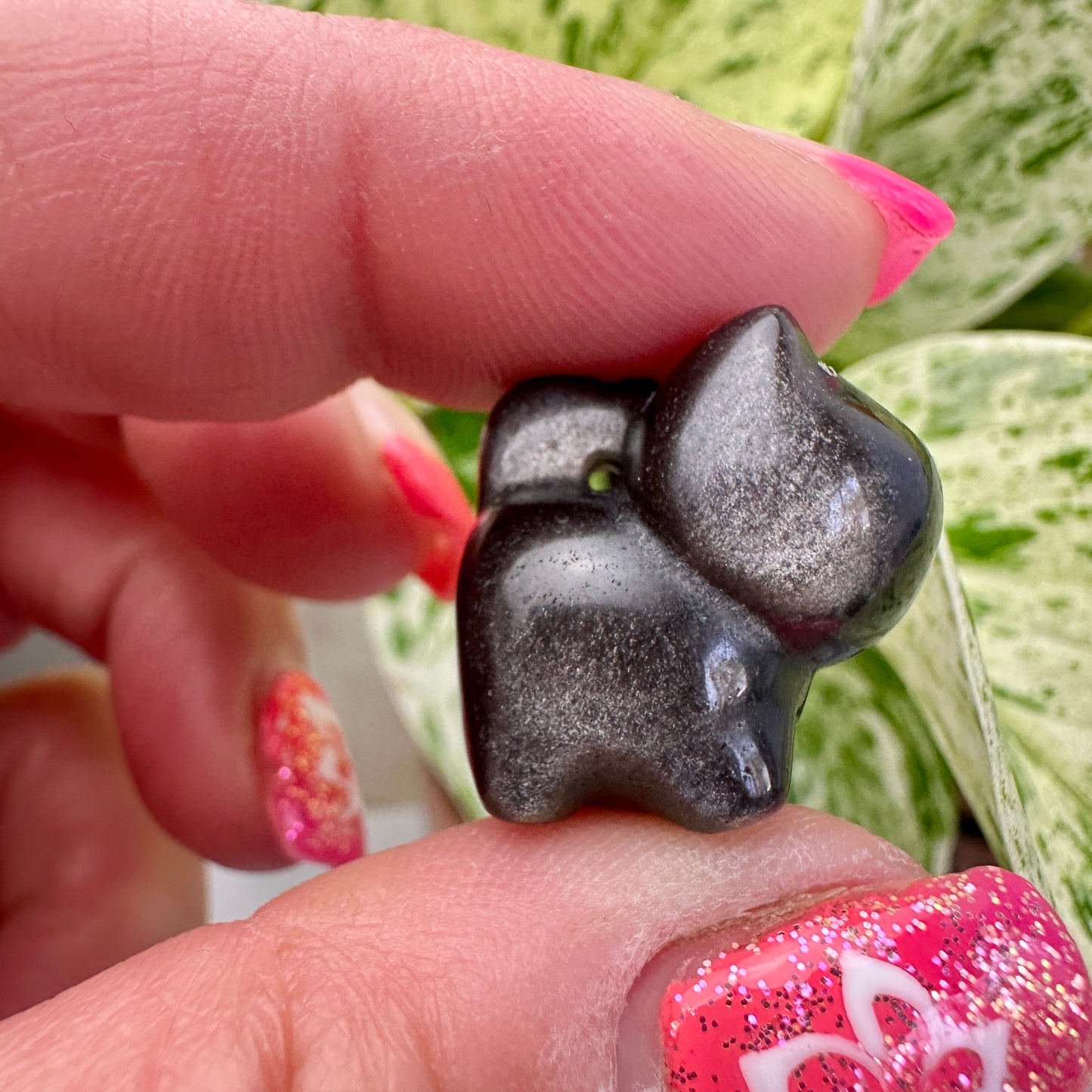 Silver and Gold Sheen Obsidian Cats