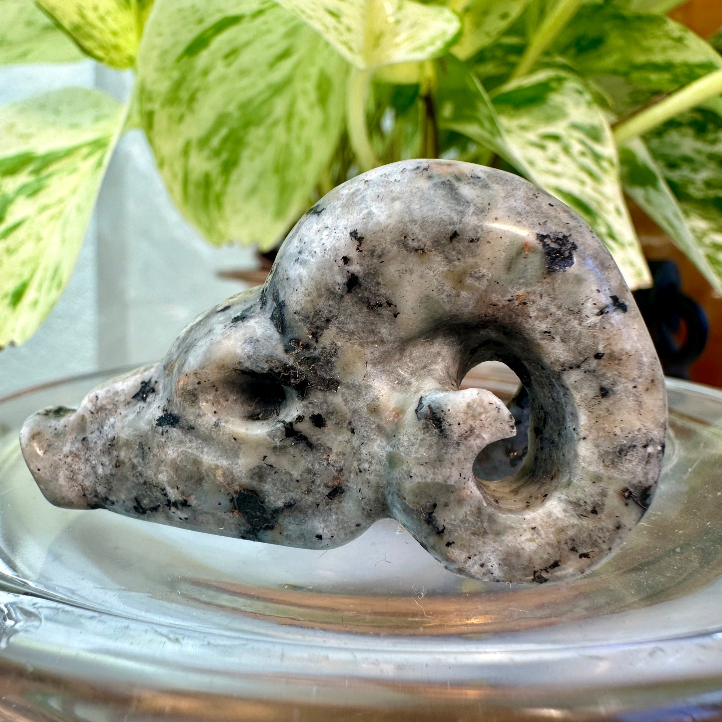 Crystal Ram Skulls — 2 inch
Zodiac Aligned | Power | Protection | Purpose