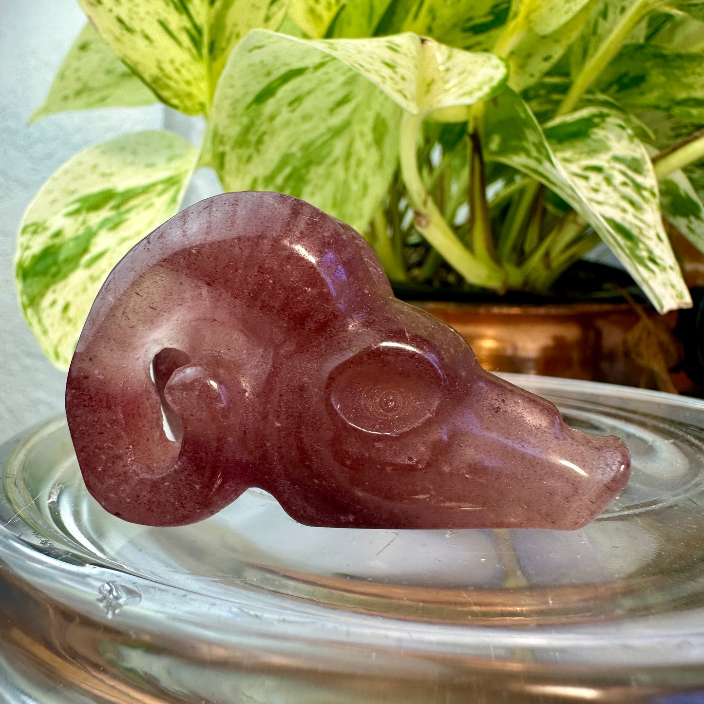 Crystal Ram Skulls — 2 inch
Zodiac Aligned | Power | Protection | Purpose