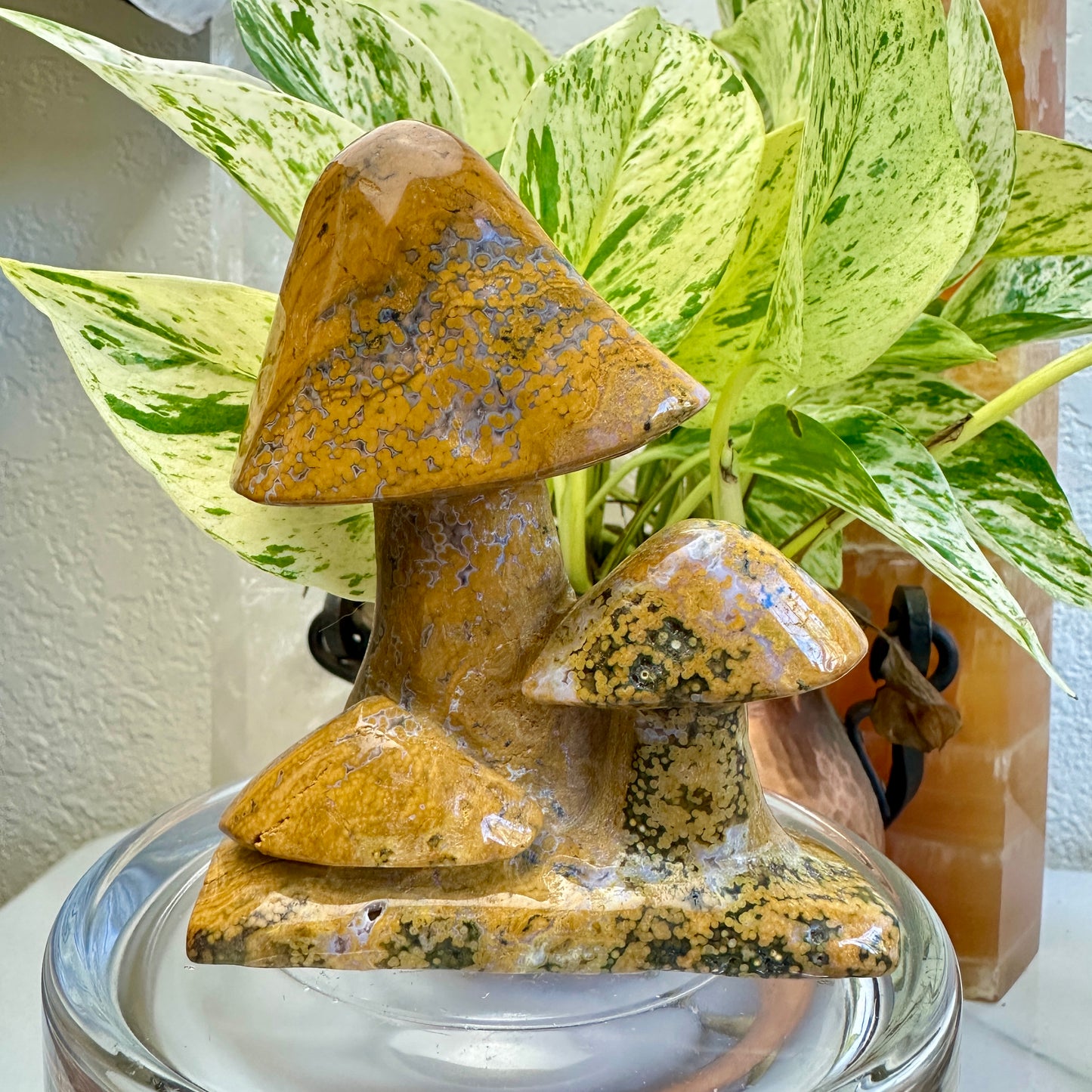 Spotted Jasper Mushrooms