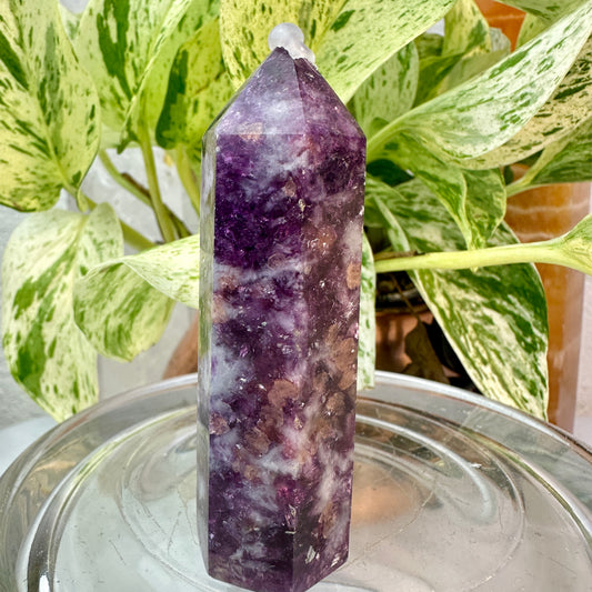 Lithium Mica & Pink Tourmaline Point — 3 inch
Emotional Healing | Self-Love | Gentle Balance
