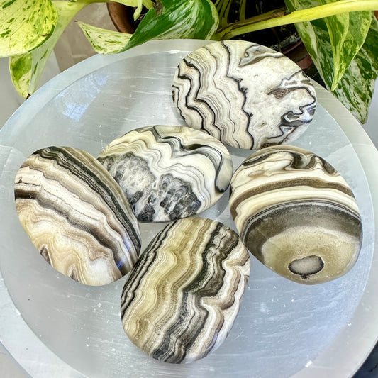 Panda Calcite Palm Stone