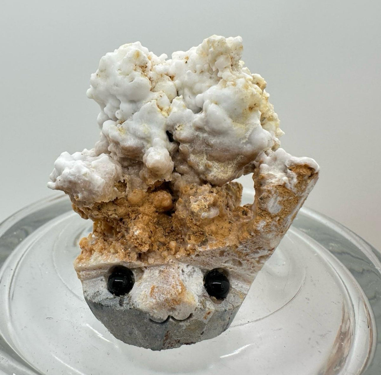 Crystal Critters - Specimen