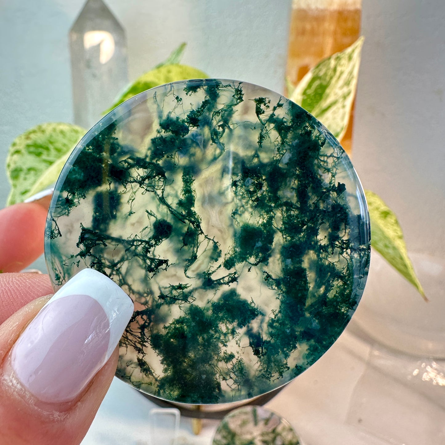 Moss Agate Window Disks — 2 Inch
Nature’s Portal • Grounding • Inner Vision