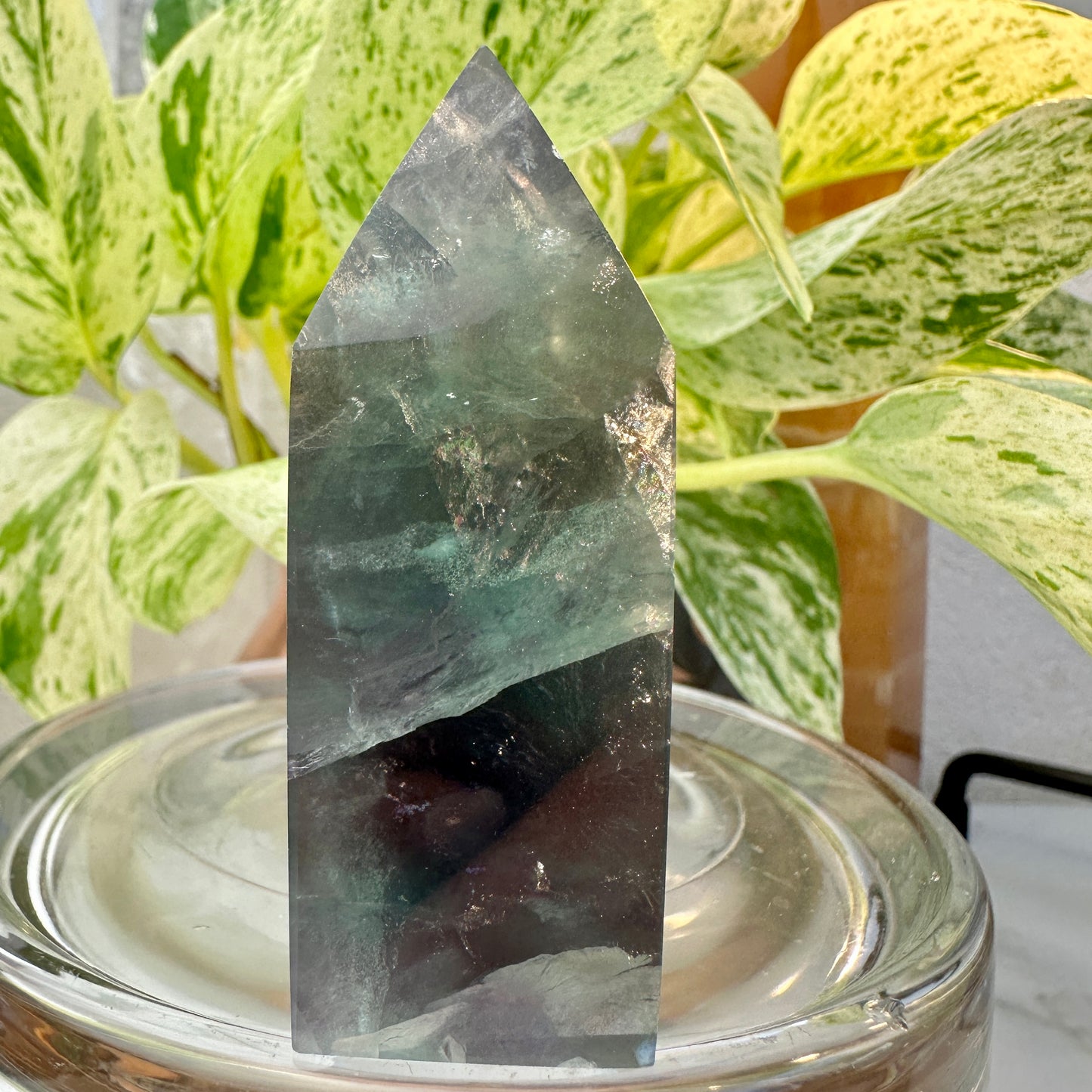 Rainbow Fluorite Raw Edge Tower — 3 inch | 6.8 oz
Focus | Clarity | Aura Cleansing