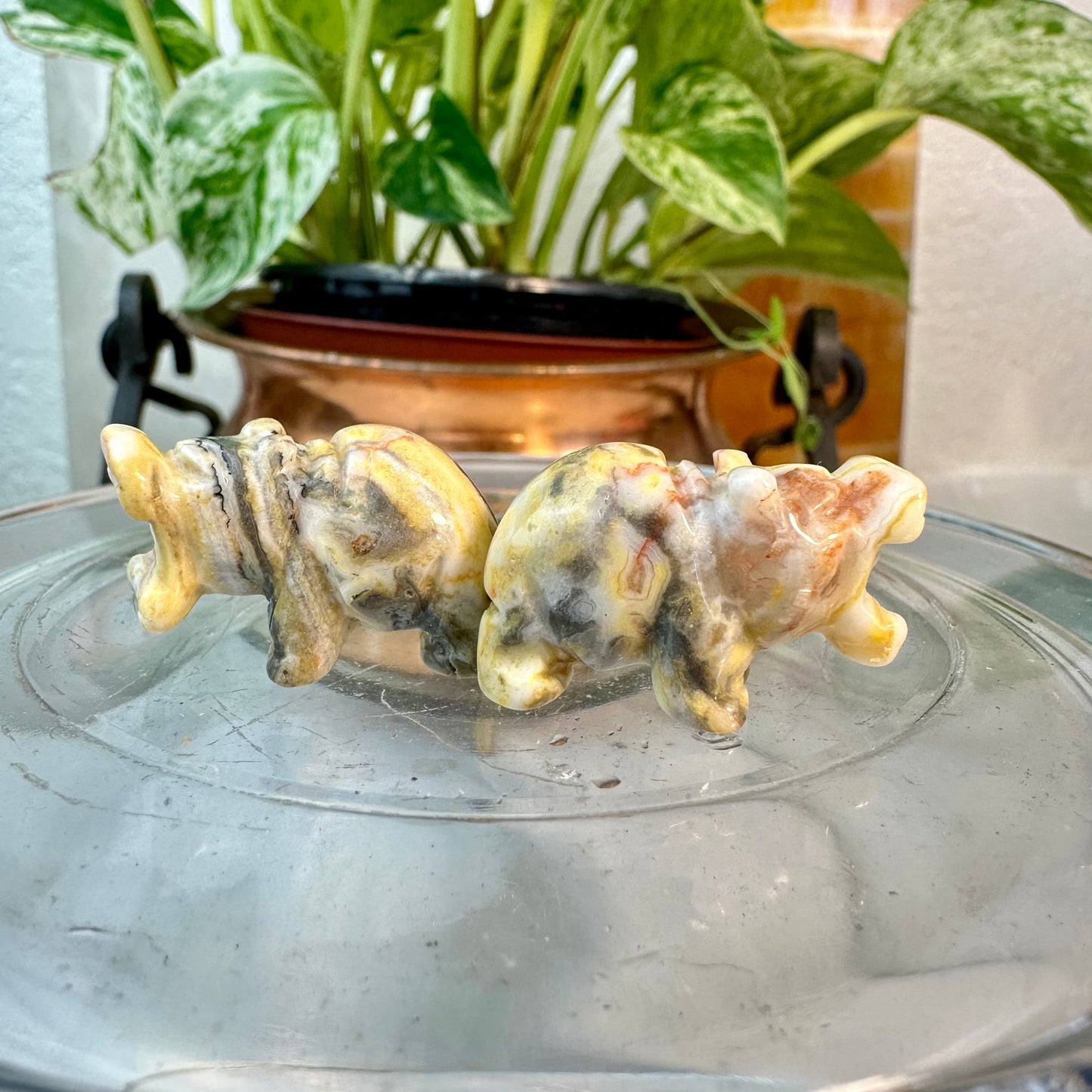 Micro Mini Crystal Hippos — Under 1 Inch
Gentle Strength • Emotional Balance • Playful Spirit