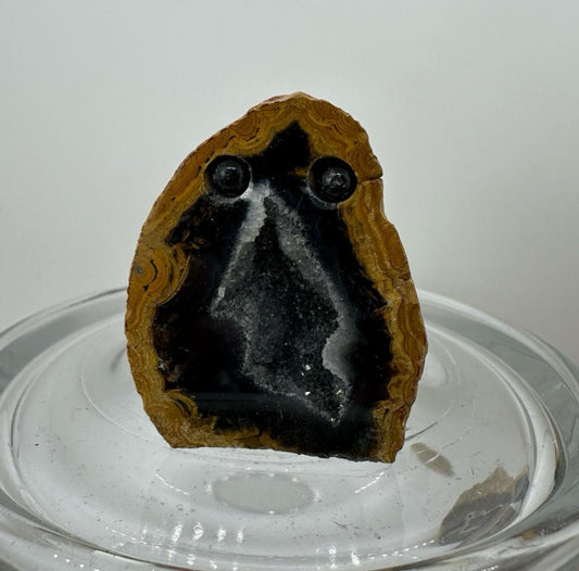 Crystal Critters- Geodes