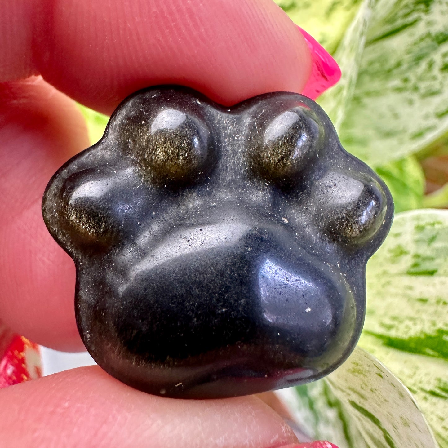 Crystal Pet Paw