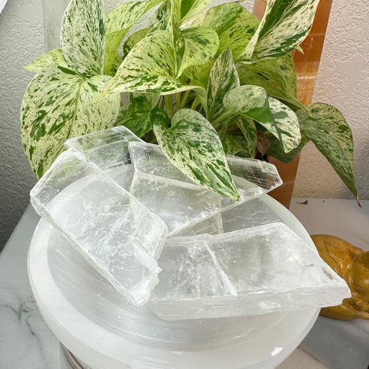 Raw Selenite Slabs — 2–5 oz Each
Cleansing | Light | Energy Amplifier