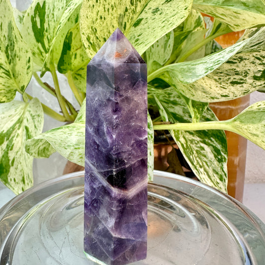 Set of 2 Amethyst Points — 3.1 & 3.9 inch
Spiritual Calm | Protection | Higher Awareness
