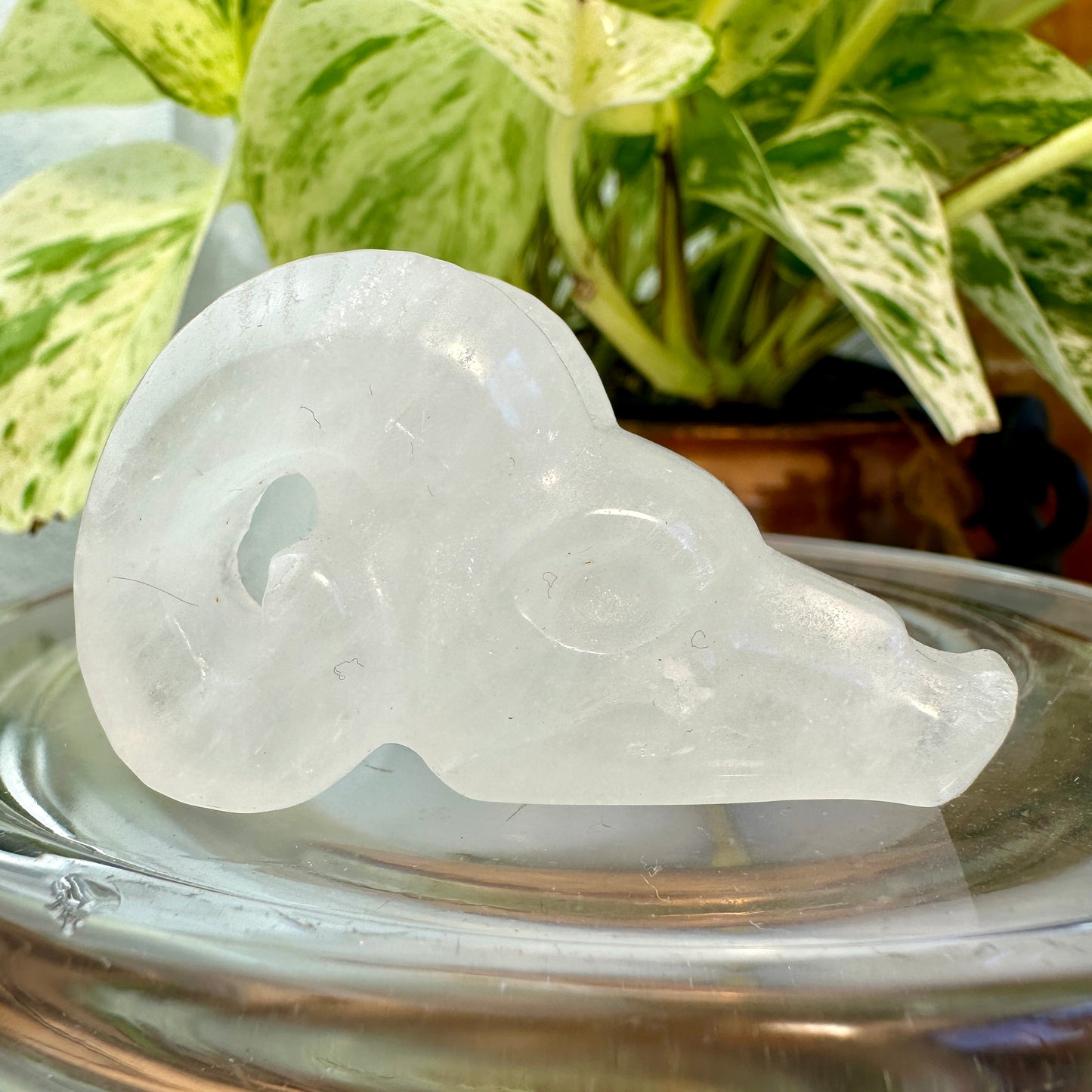 Crystal Ram Skulls — 2 inch
Zodiac Aligned | Power | Protection | Purpose