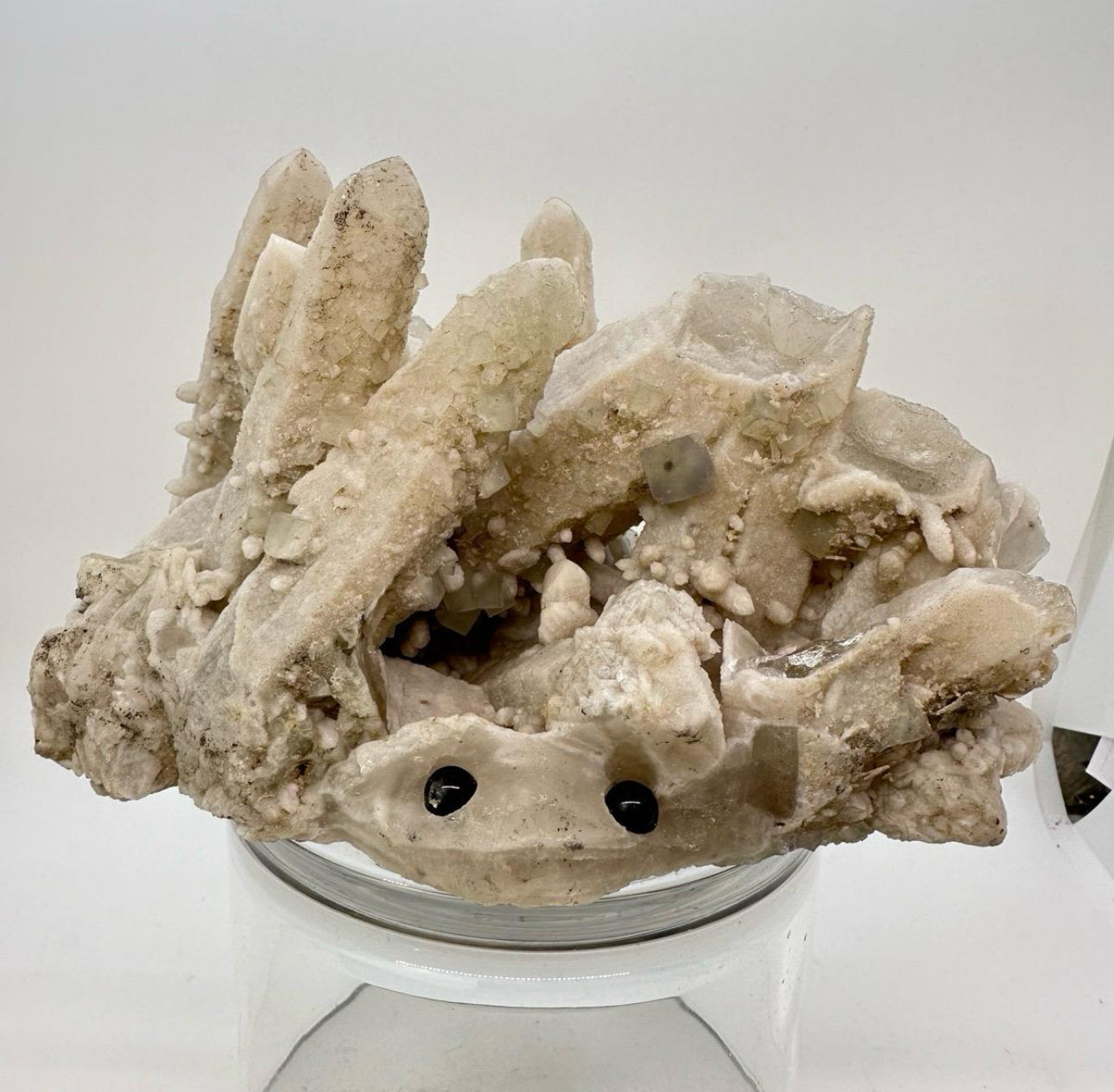 Crystal Critters LARGE