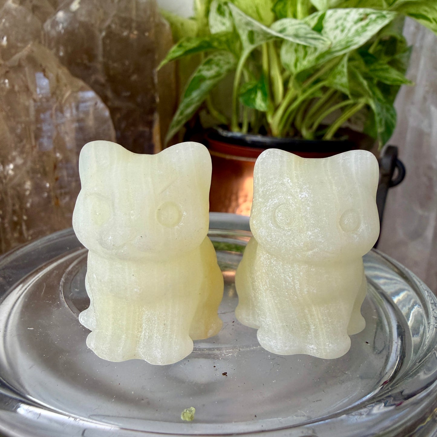 Mini Crystal Cats — 0.25 to 2 inches Whimsy | Protection | Energy Companions