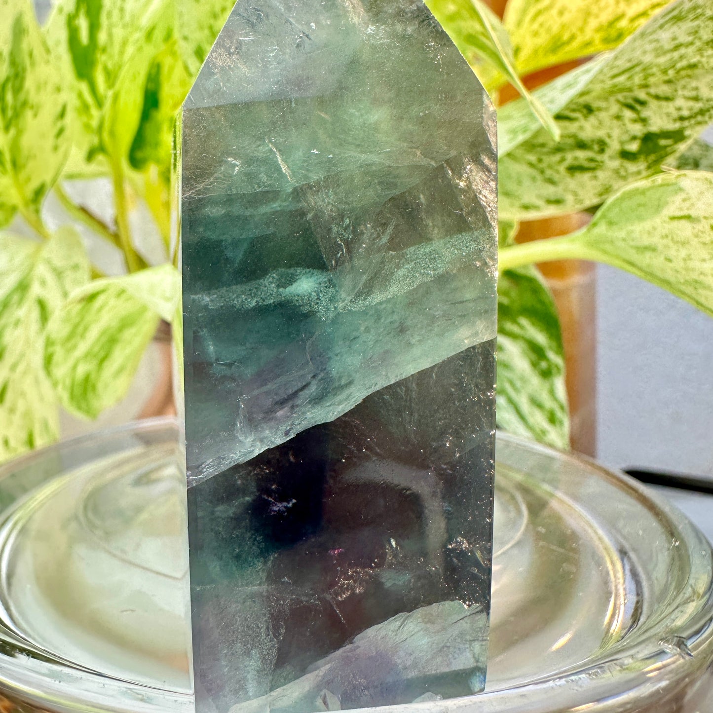 Rainbow Fluorite Raw Edge Tower — 3 inch | 6.8 oz
Focus | Clarity | Aura Cleansing