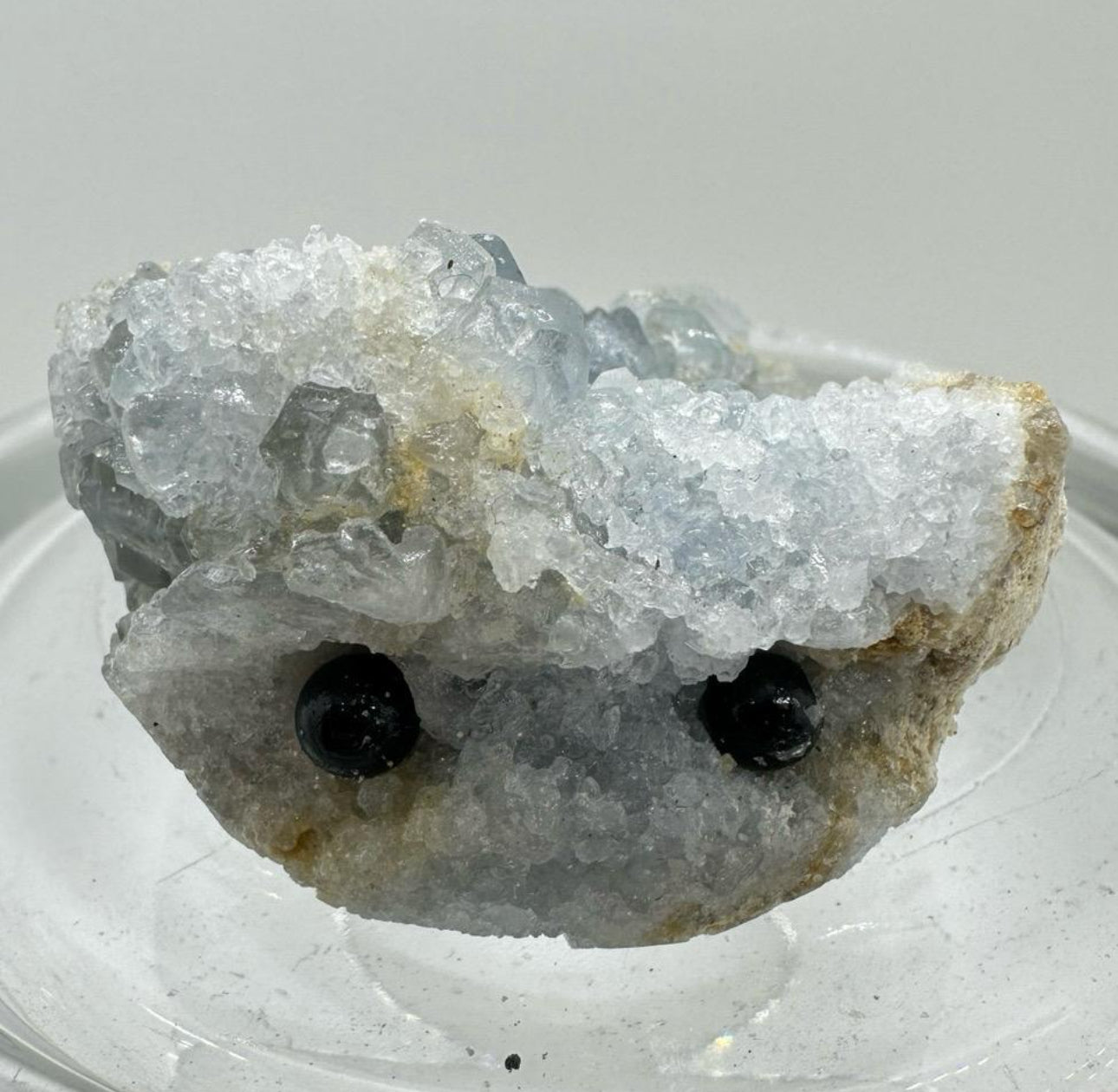 Crystal Critters - Specimen