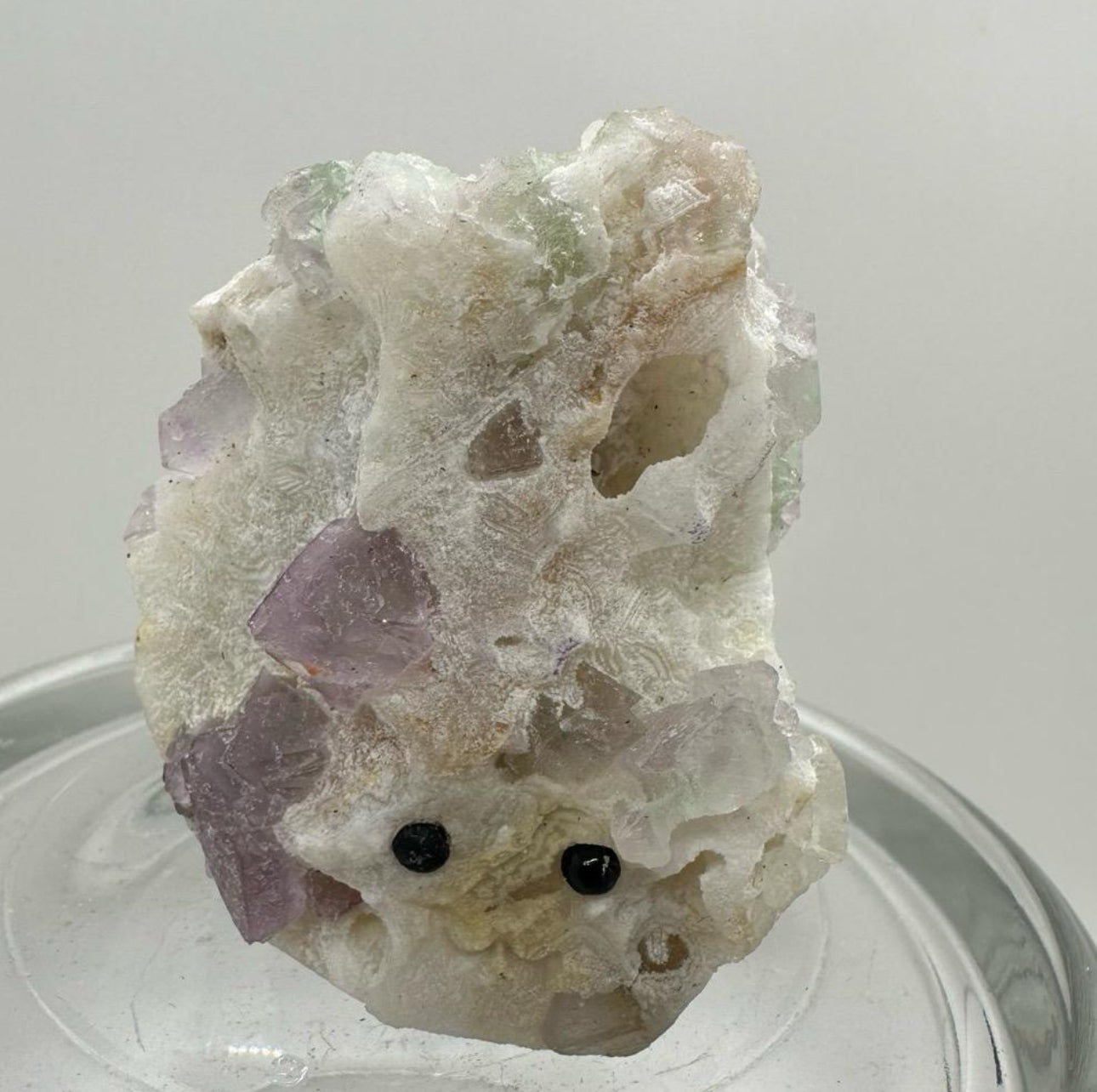 Crystal Critters - Specimen