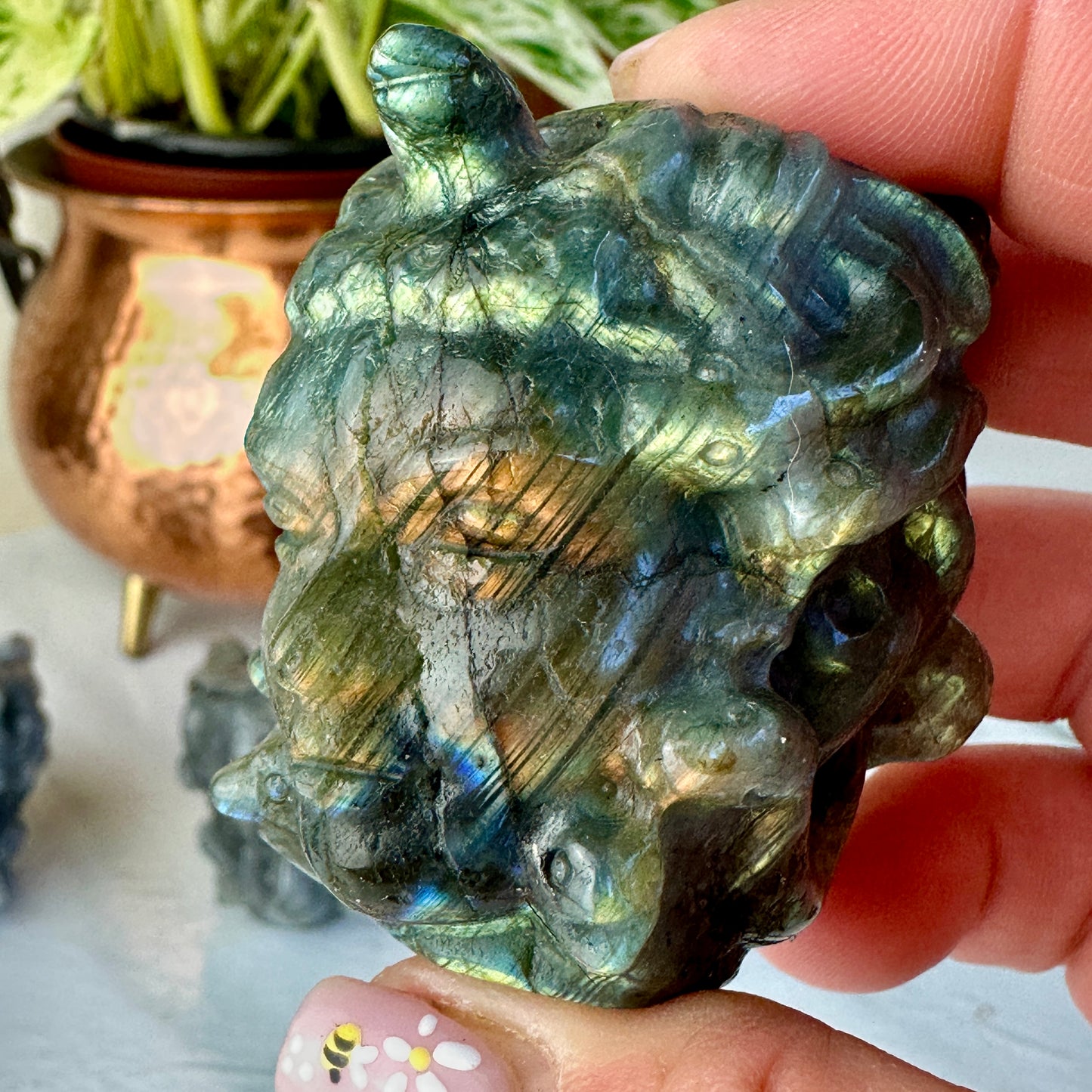 Labradorite Medusa