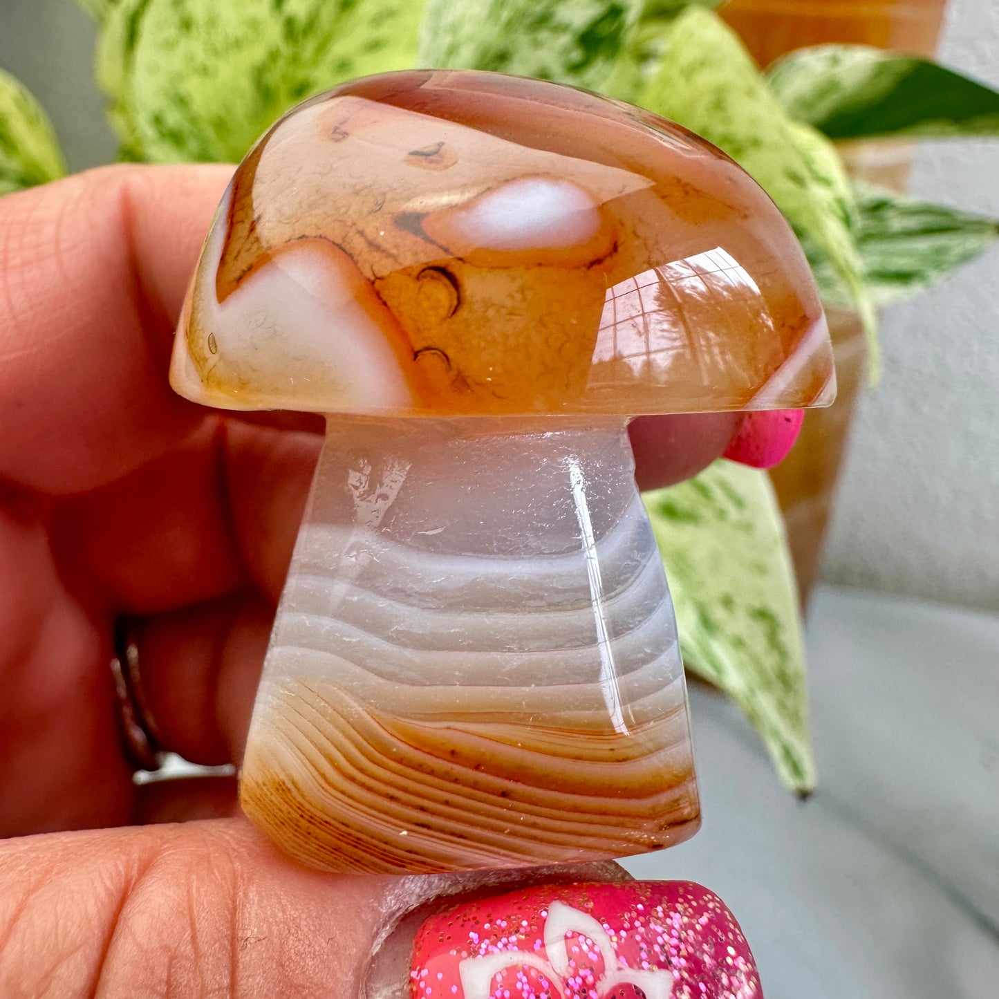 Sardonyx Mushrooms - Katie's Mystic Crystals