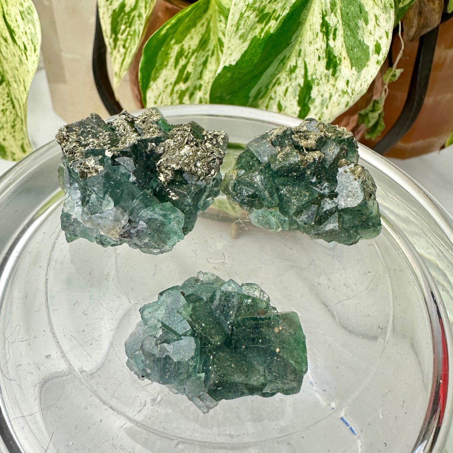 Cubic Blue-Green Fluorite with Natural Pyrite Specimens — Energetic Alchemy in Crystal Form